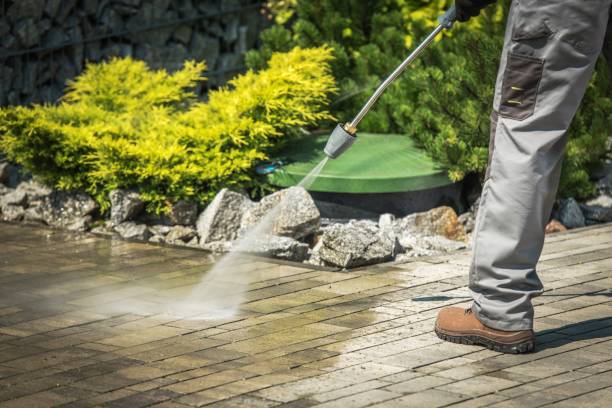 Best Gutter Cleaning  in Olivehurst, CA