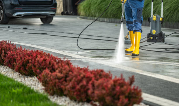 Best Driveway Pressure Washing  in Olivehurst, CA